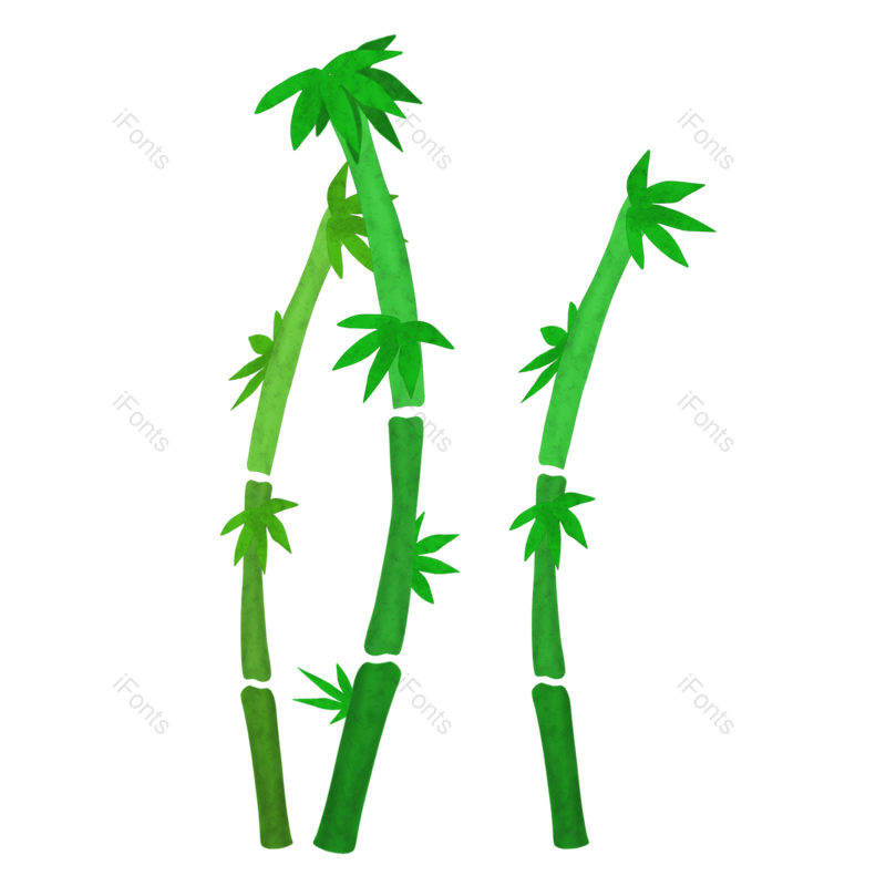 竹子图片,元素,PNG,免抠素材